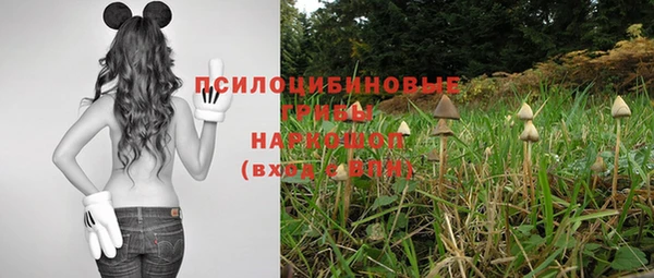 мдпв Козловка
