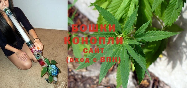 мдпв Козловка