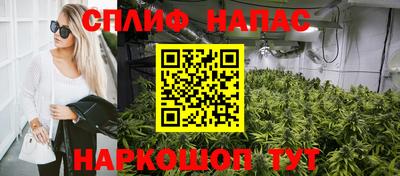 мдма Гатчина
