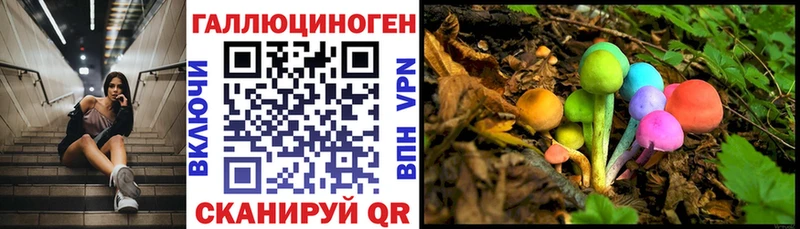 наркота Кумертау Псилоцибиновые грибы мицелий